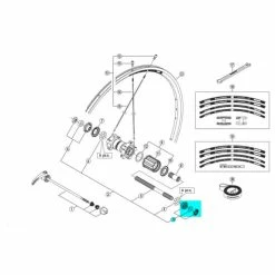 Shimano Cone Droit Moyeu Arrière Shinamo WH-RS11/RS20-A/RS30/RS80 - Y4EW98080