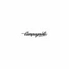 Campagnolo® Jante Campagnolo Shamal Ultra WH-003SHT Titanium - [16 T] -Magasin De Vélo jante campagnolo shamal ultra wh 003sht titanium 16 t